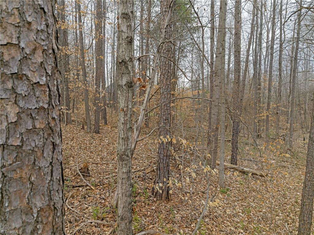 00 Seay Drive Property Photo 26