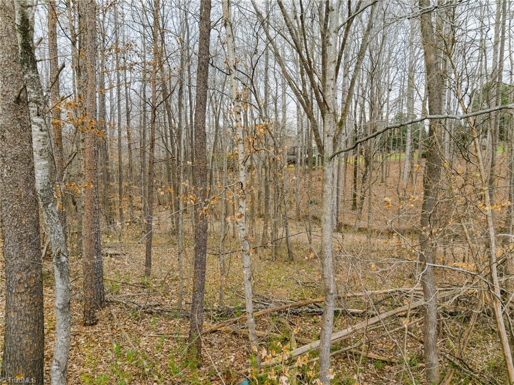00 Seay Drive Property Photo 27