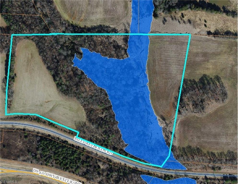 00 Billy Reynolds Road Property Photo 6