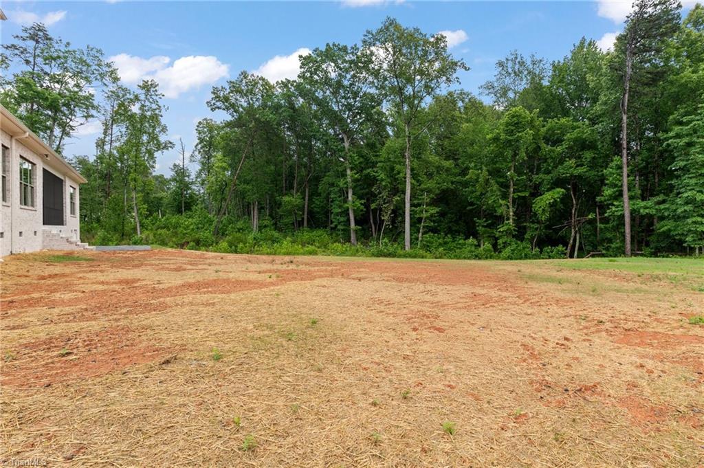 1007 Old Hickory Drive Property Photo 44