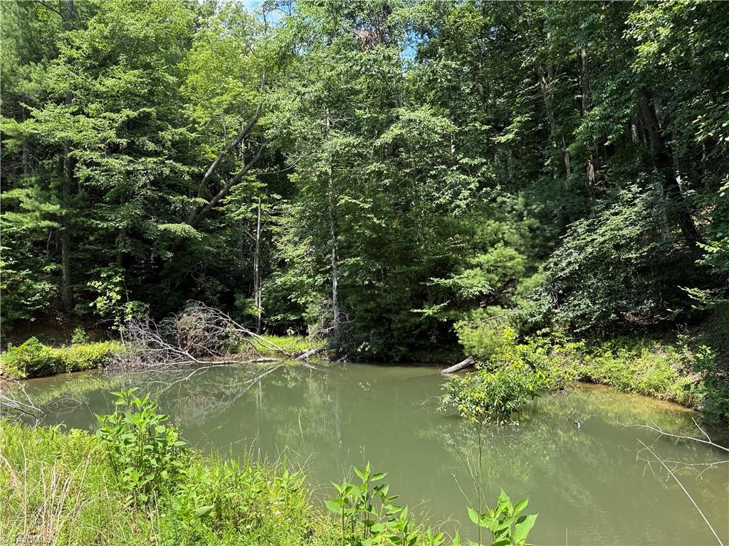 Tbd Staghorn Road Property Photo 2