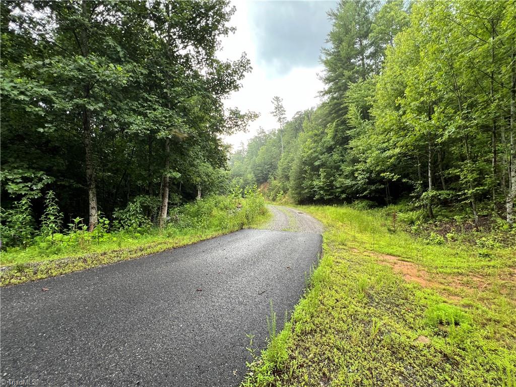 Tbd Staghorn Road Property Photo 4