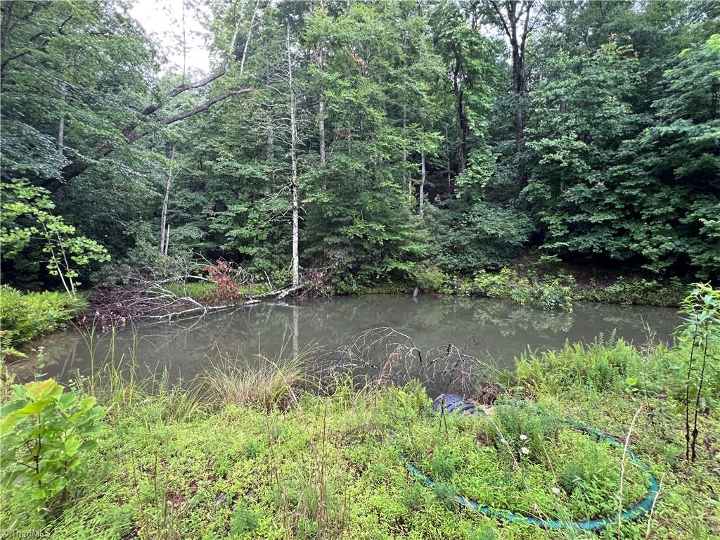 Tbd Staghorn Road Property Photo 8