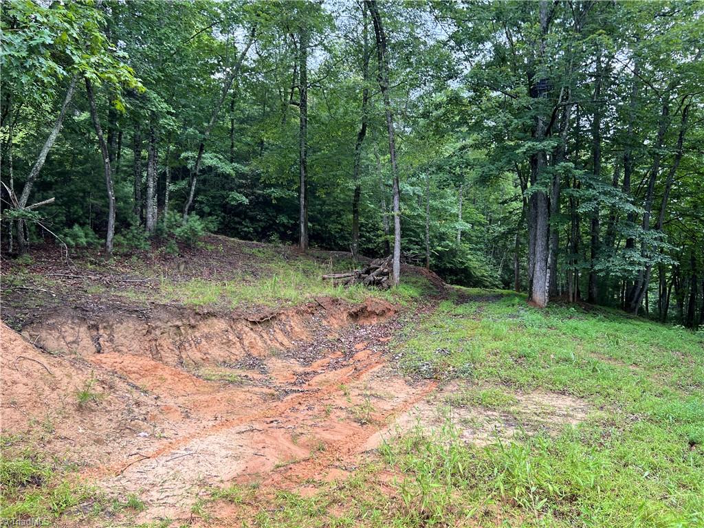Tbd Staghorn Road Property Photo 9