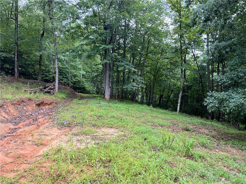Tbd Staghorn Road Property Photo 10