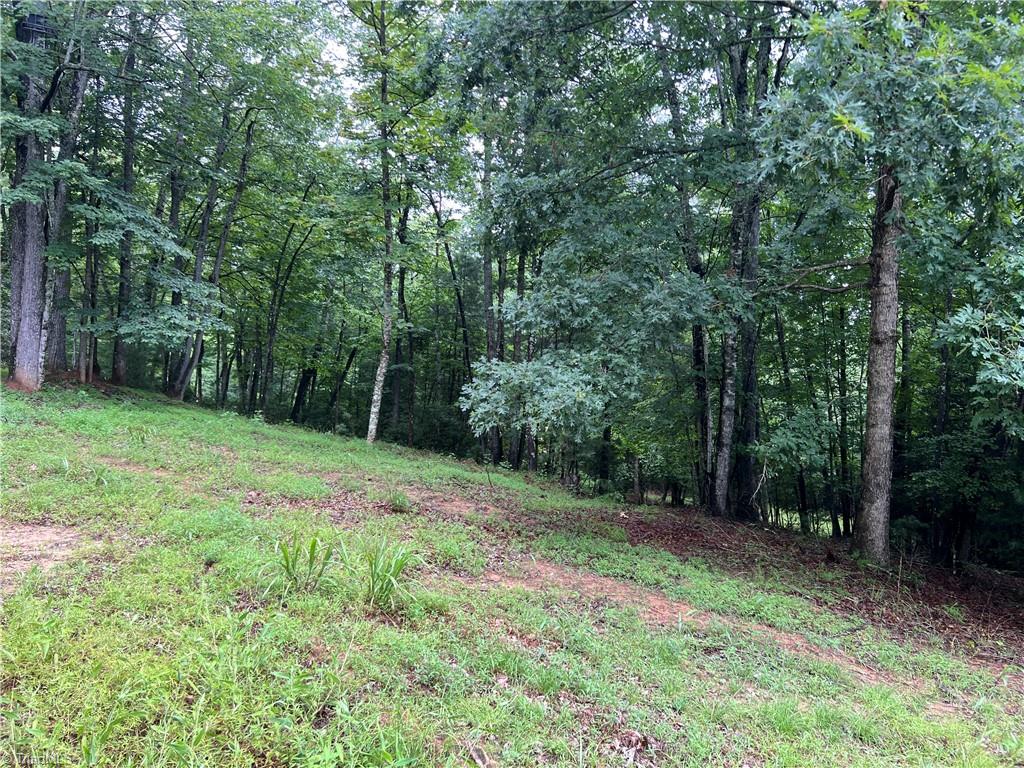 Tbd Staghorn Road Property Photo 11