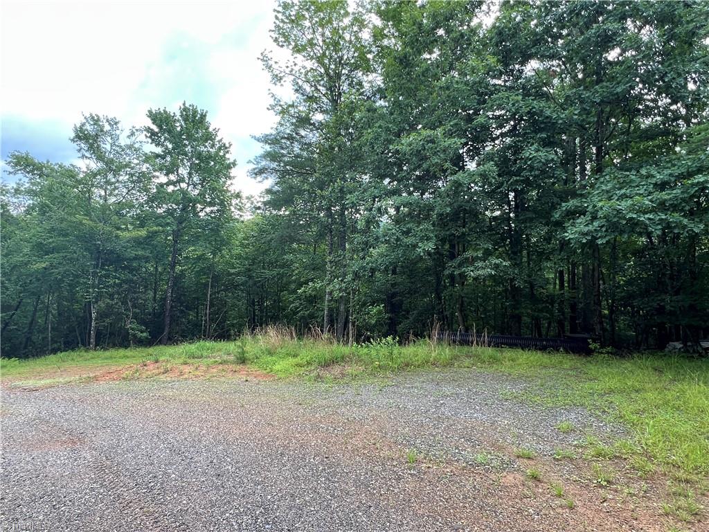 Tbd Staghorn Road Property Photo 12