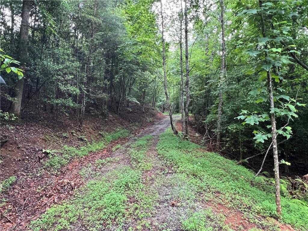 Tbd Staghorn Road Property Photo 13