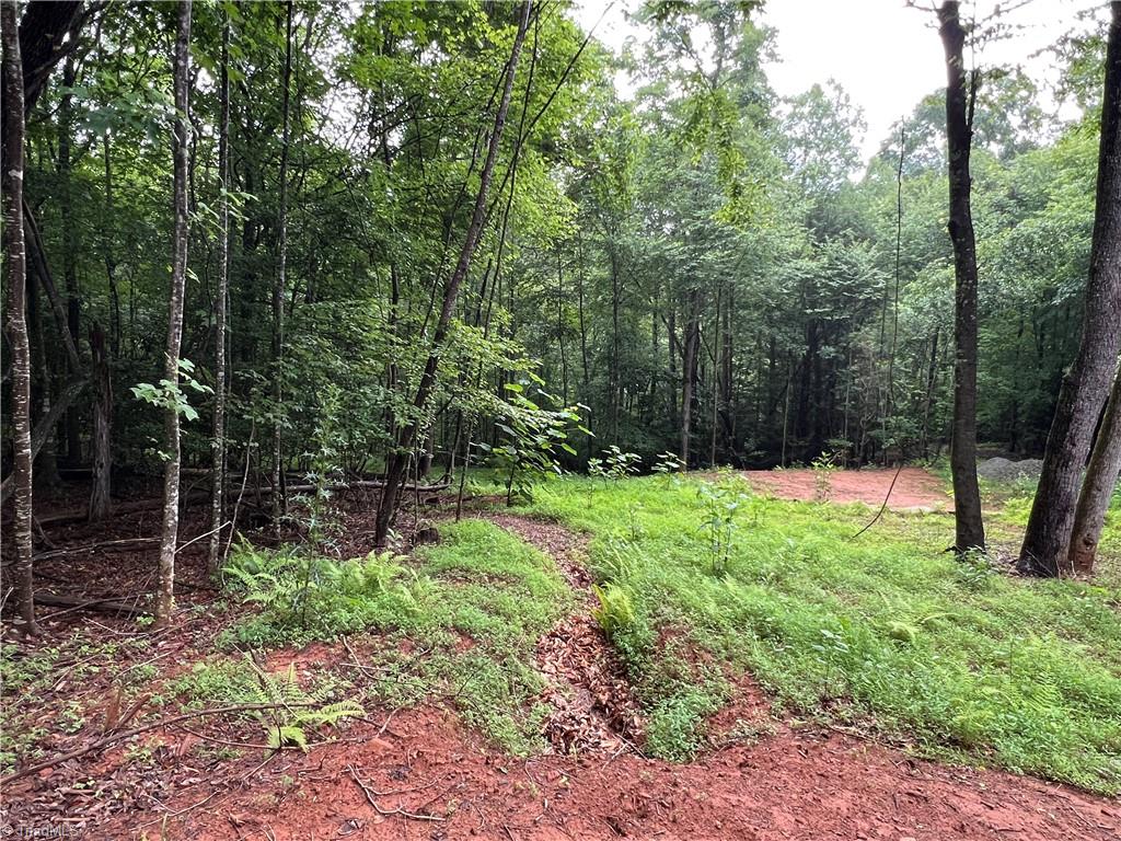 Tbd Staghorn Road Property Photo 14