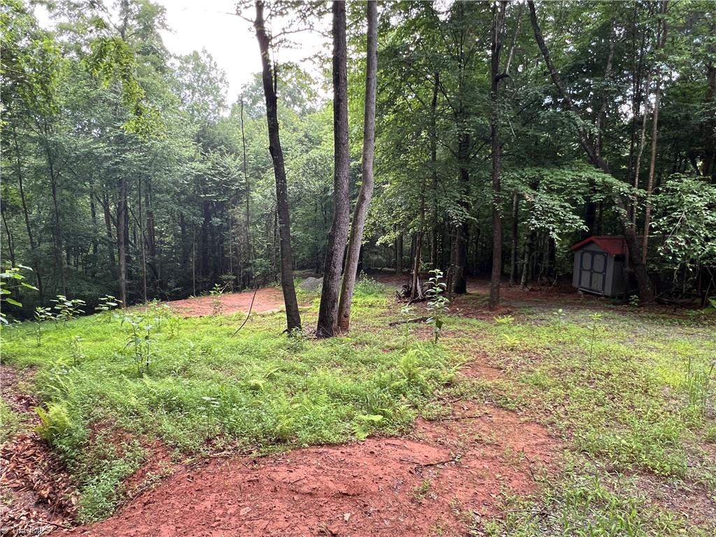 Tbd Staghorn Road Property Photo 15