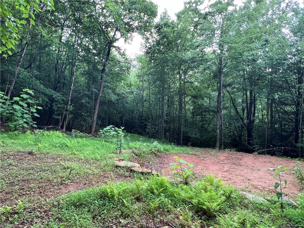 Tbd Staghorn Road Property Photo 17