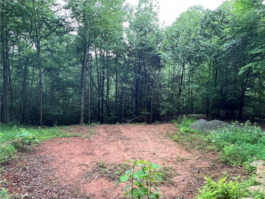 Tbd Staghorn Road Property Photo 18