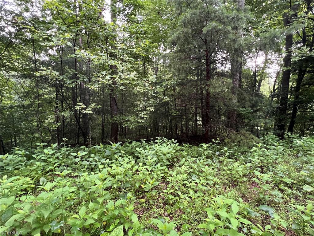 Tbd Staghorn Road Property Photo 20