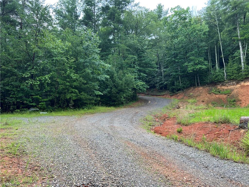 Tbd Staghorn Road Property Photo 22