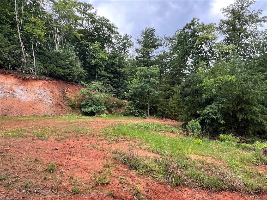 Tbd Staghorn Road Property Photo 25