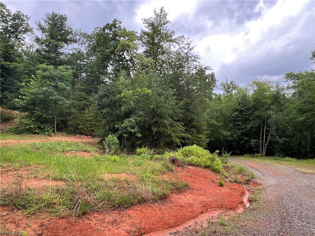 Tbd Staghorn Road Property Photo 26