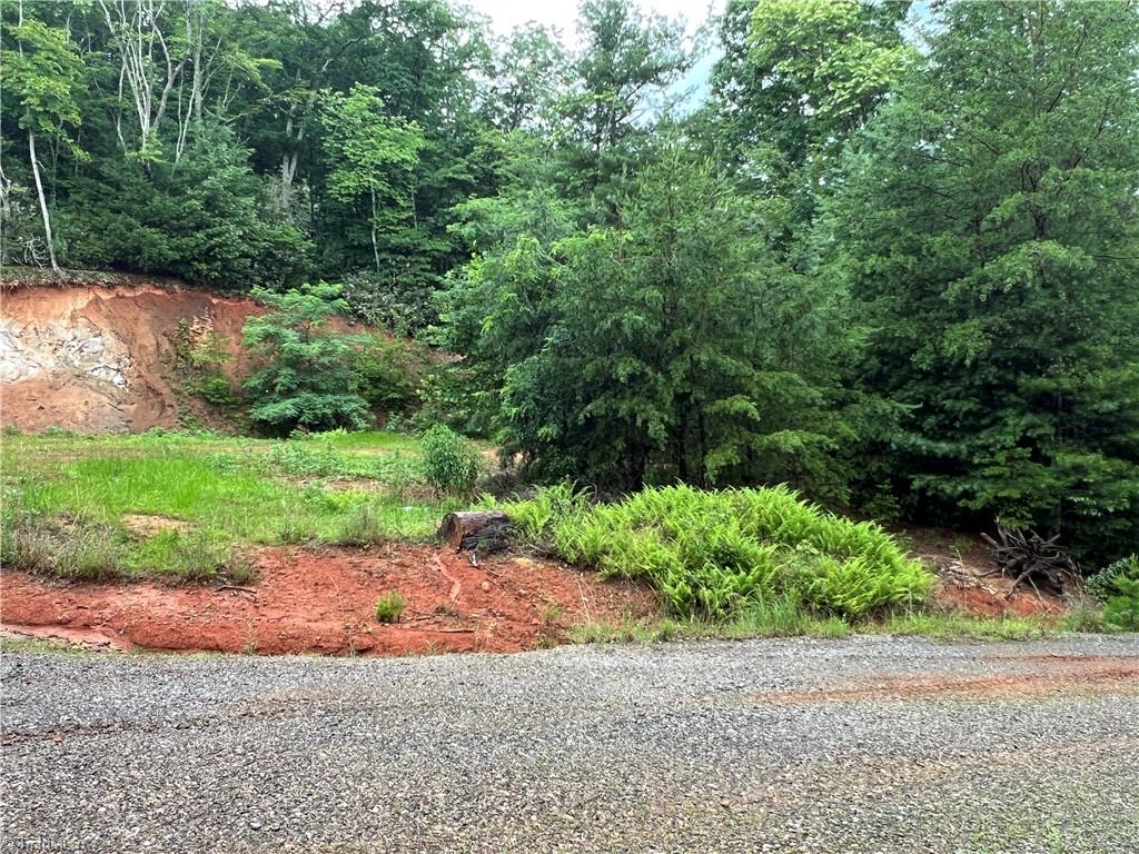 Tbd Staghorn Road Property Photo 27