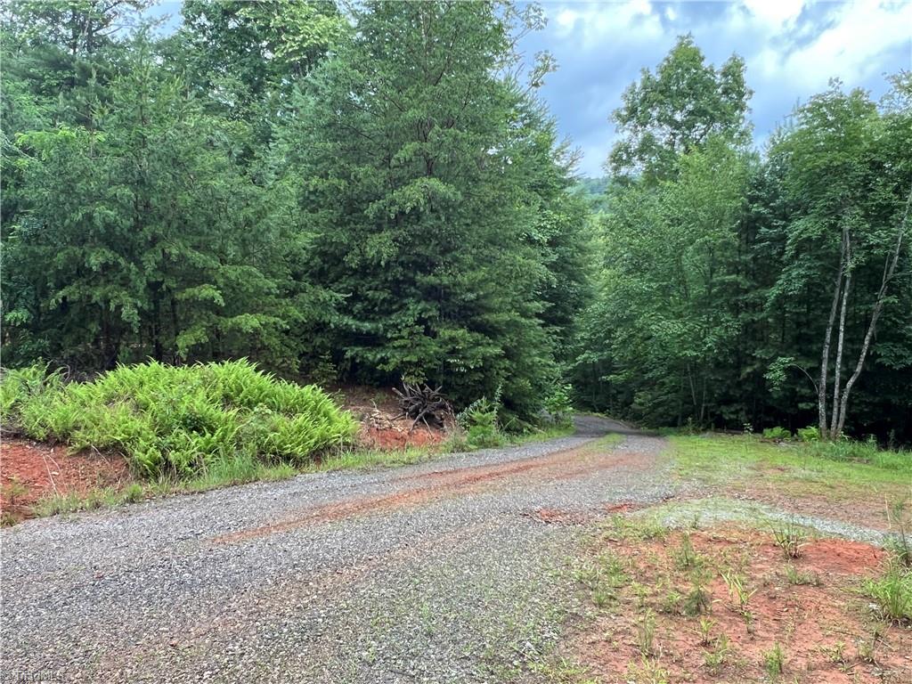 Tbd Staghorn Road Property Photo 28