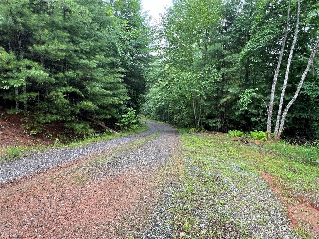 Tbd Staghorn Road Property Photo 29