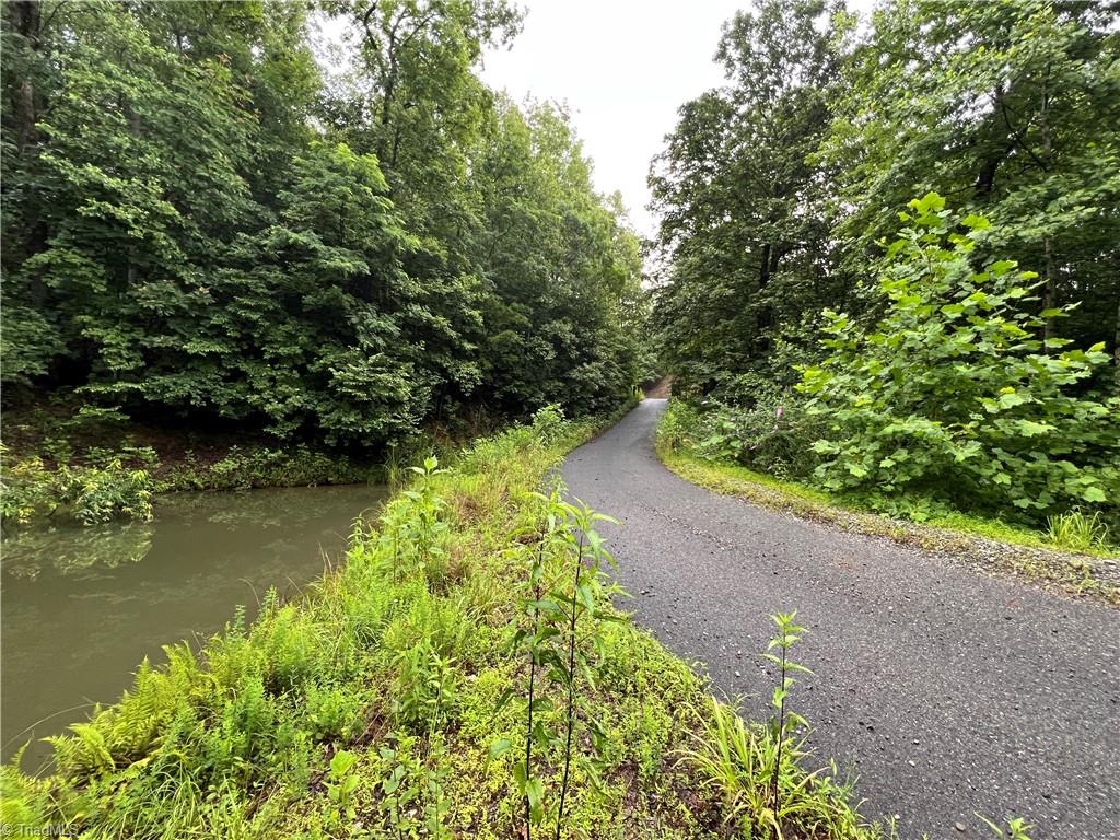 Tbd Staghorn Road Property Photo 31