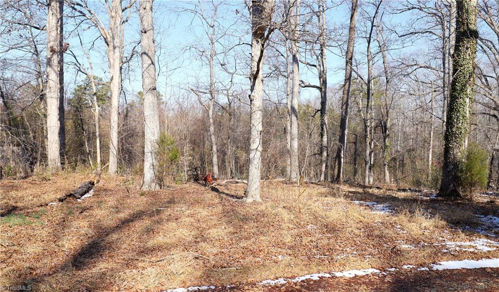 2669 Wagon Trail Property Photo 16