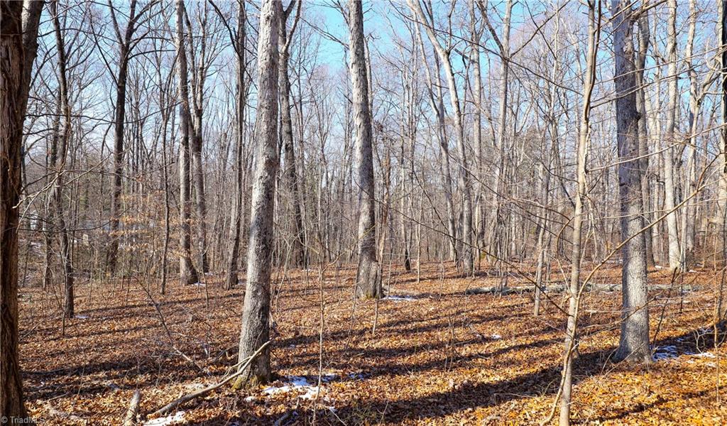 2669 Wagon Trail Property Photo 17