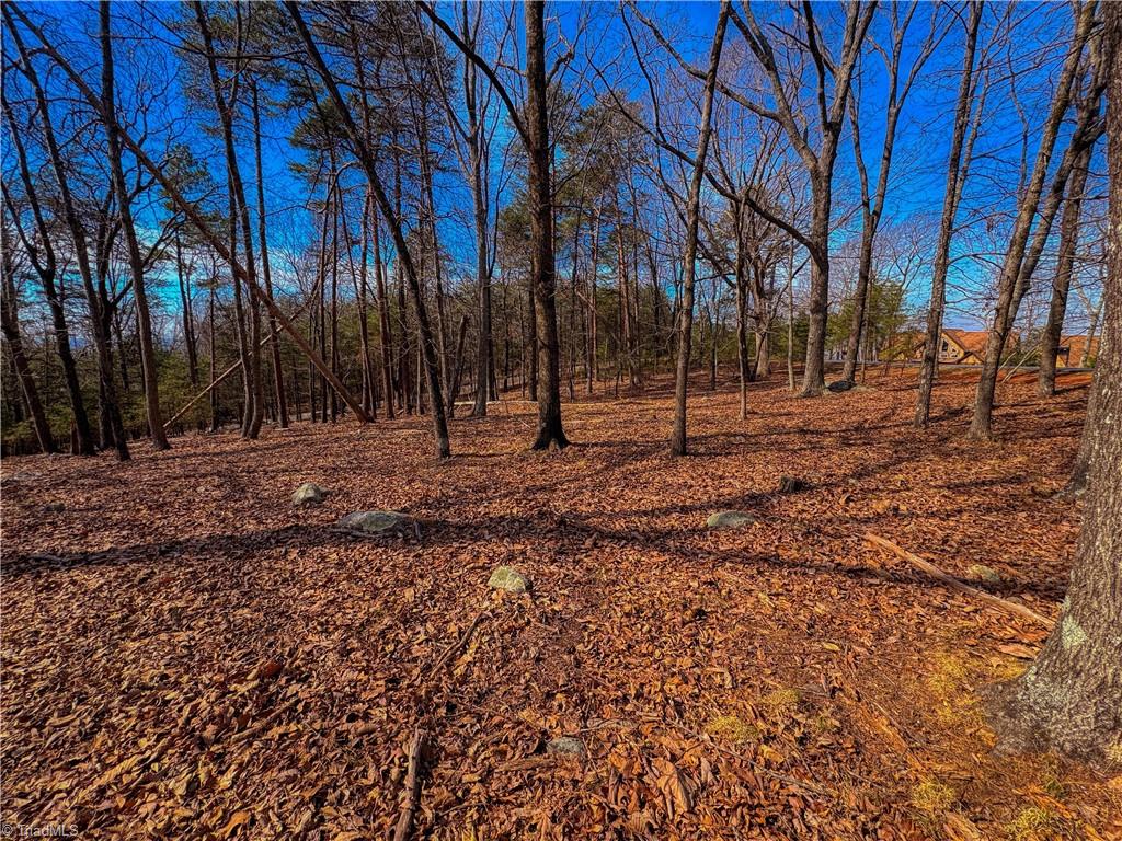 863 Sierra Trace Road Property Photo 6