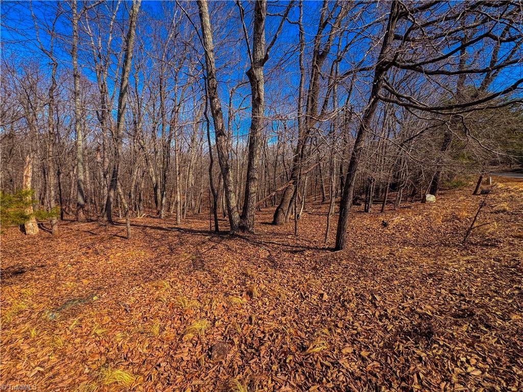 863 Sierra Trace Road Property Photo 7