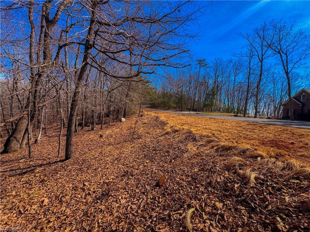 863 Sierra Trace Road Property Photo 8