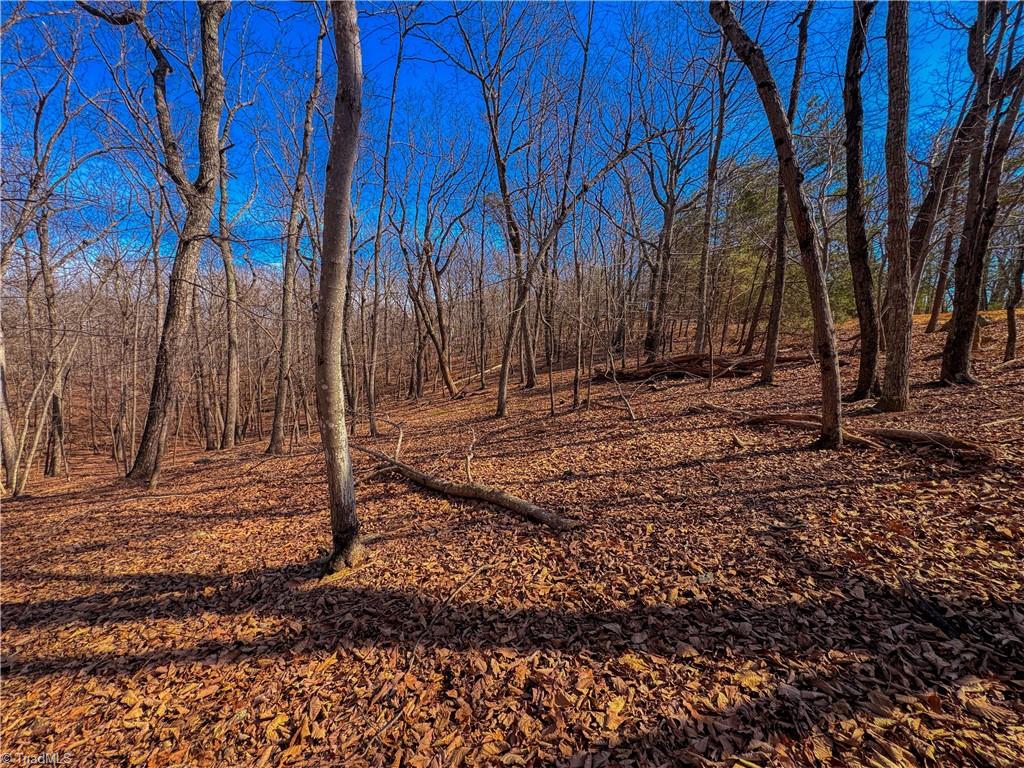 863 Sierra Trace Road Property Photo 9