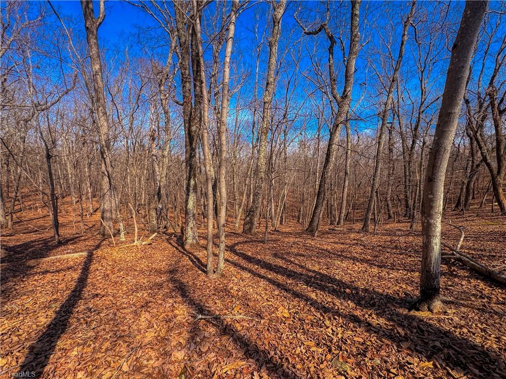 863 Sierra Trace Road Property Photo 10