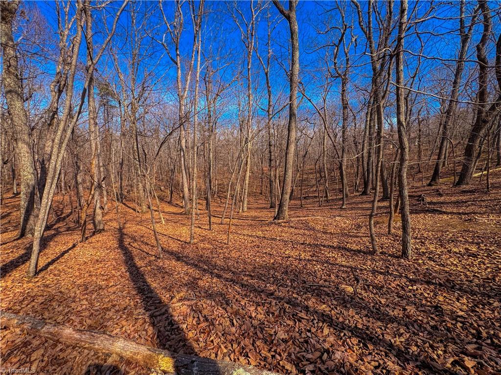 863 Sierra Trace Road Property Photo 11