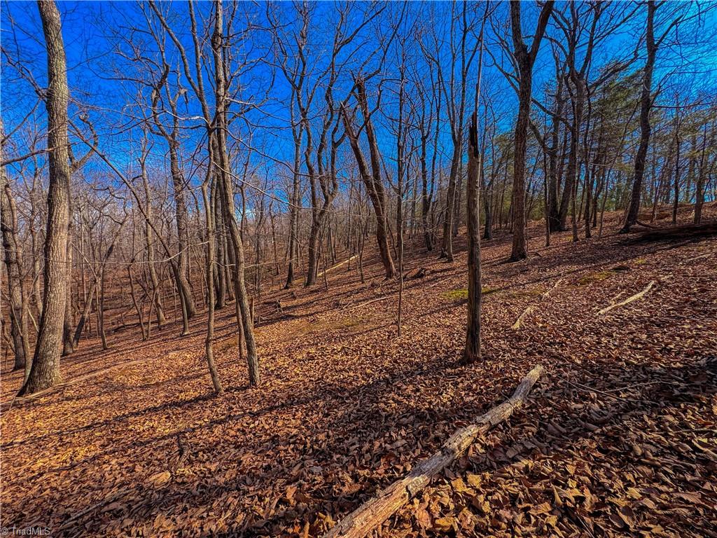 863 Sierra Trace Road Property Photo 12
