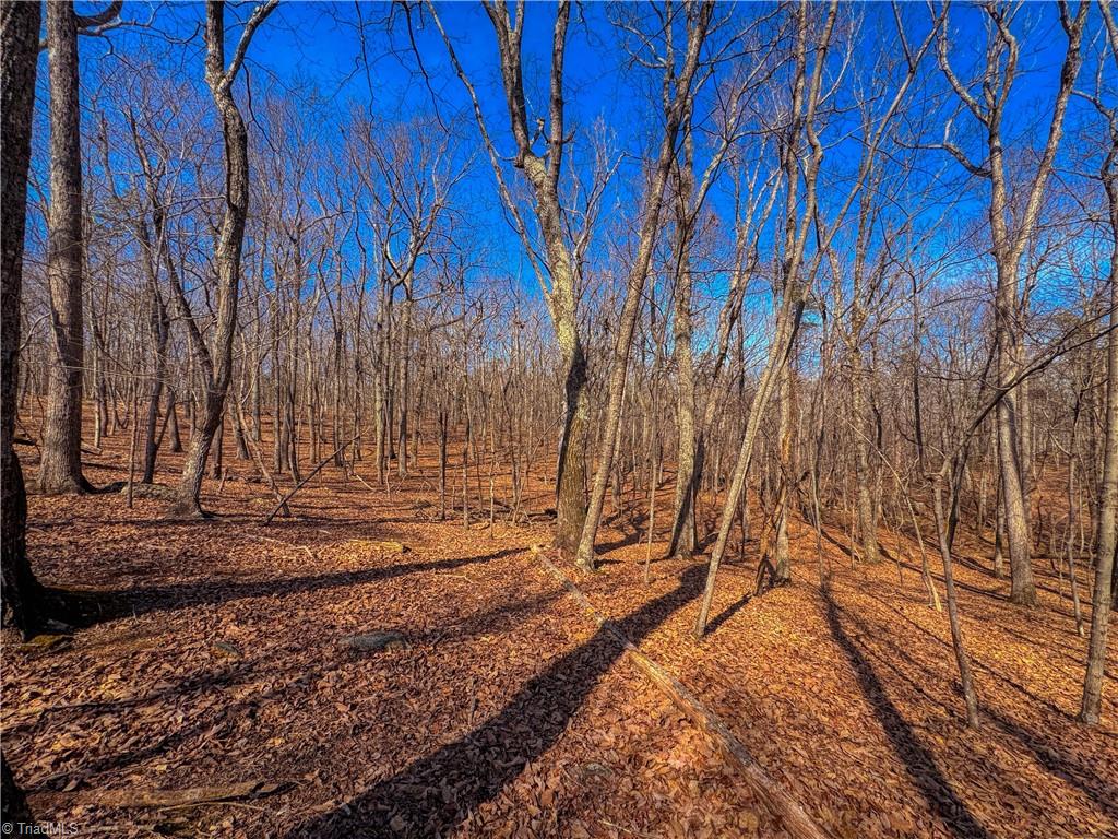 863 Sierra Trace Road Property Photo 13