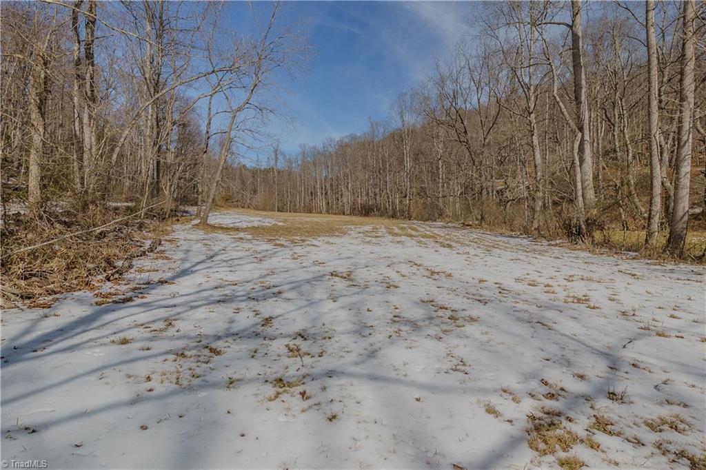 000 Willard Creek Property Photo 1