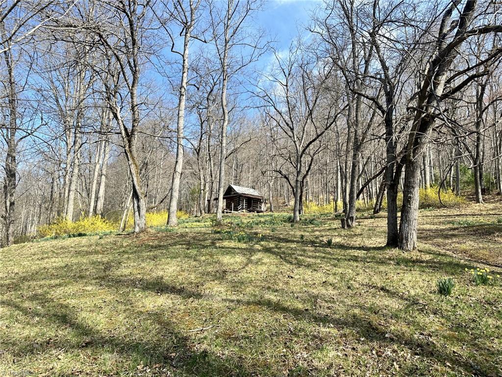 000 Willard Creek Property Photo 6