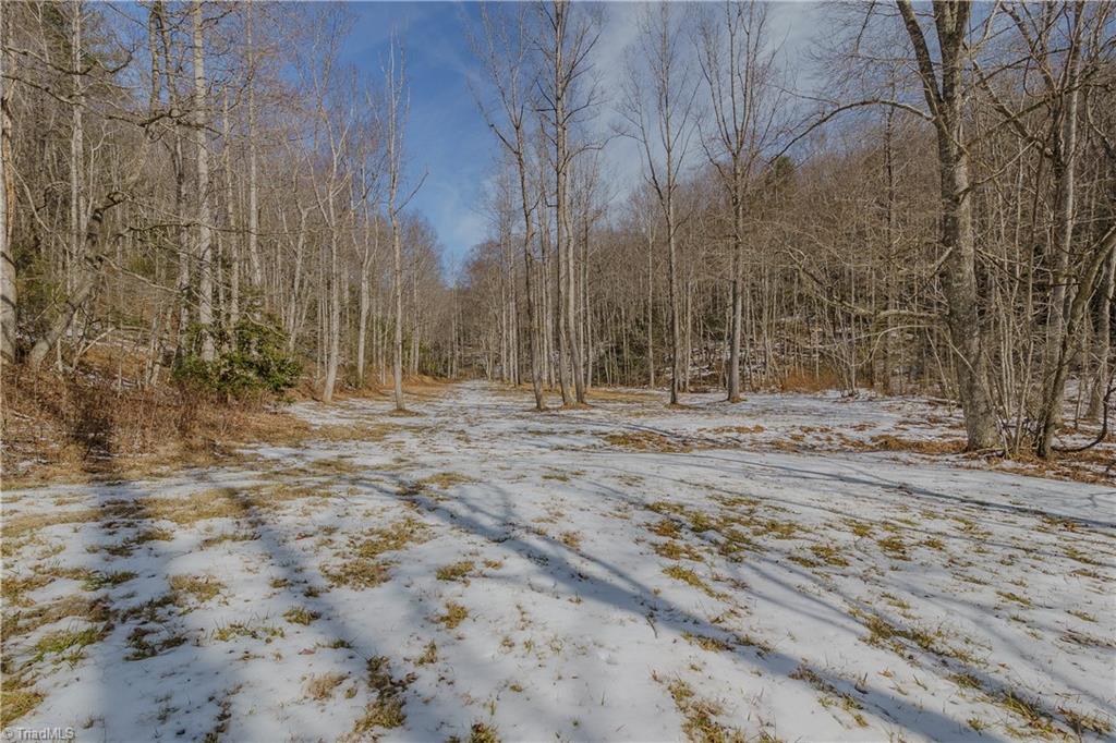 000 Willard Creek Property Photo 14
