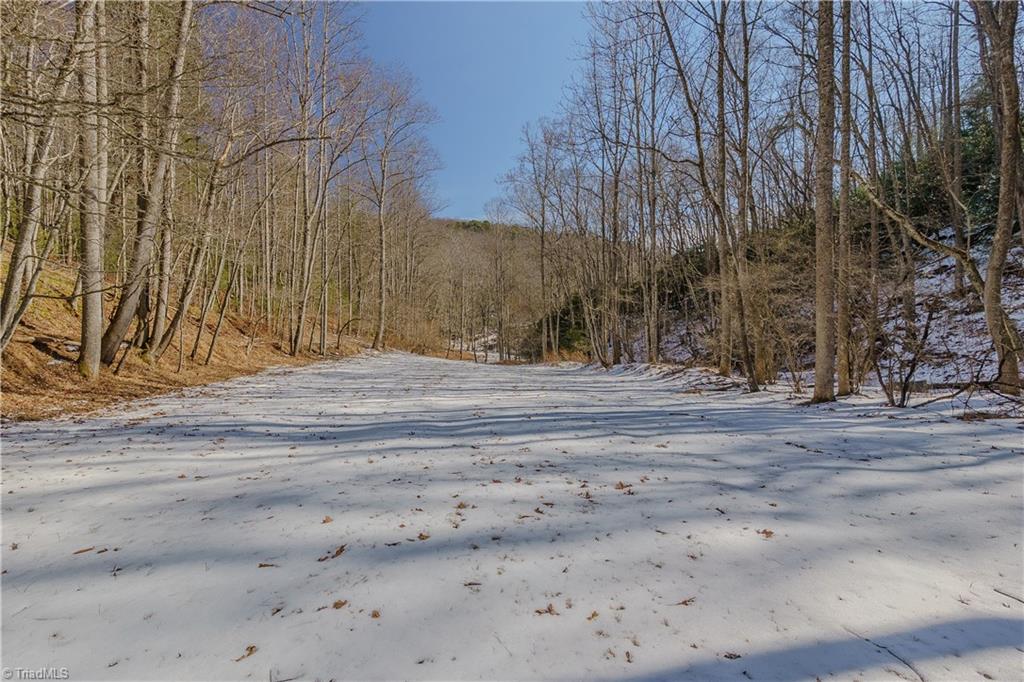 000 Willard Creek Property Photo 15