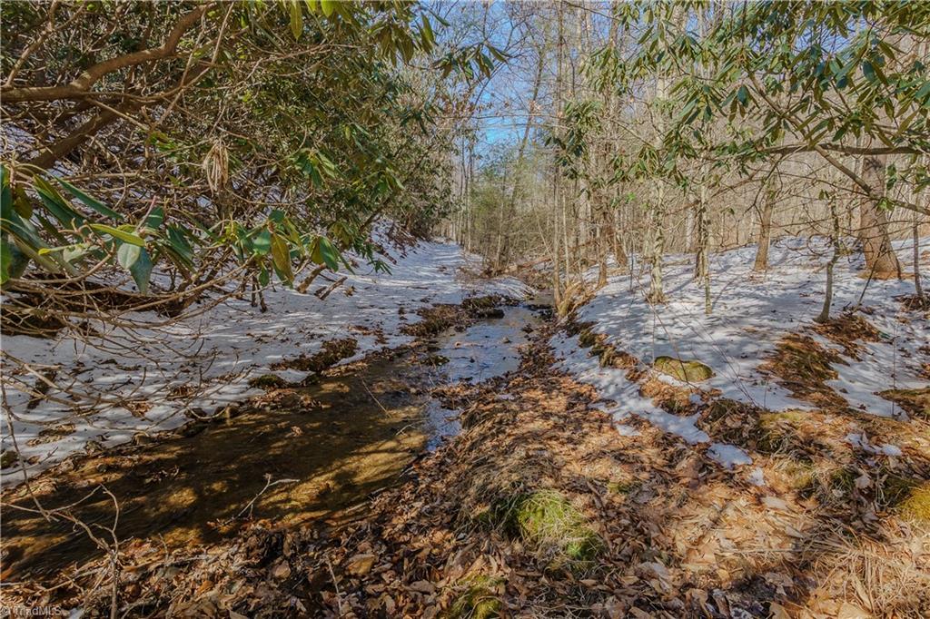 000 Willard Creek Property Photo 18