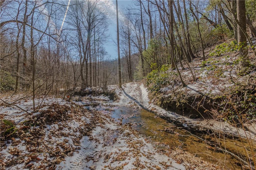 000 Willard Creek Property Photo 20