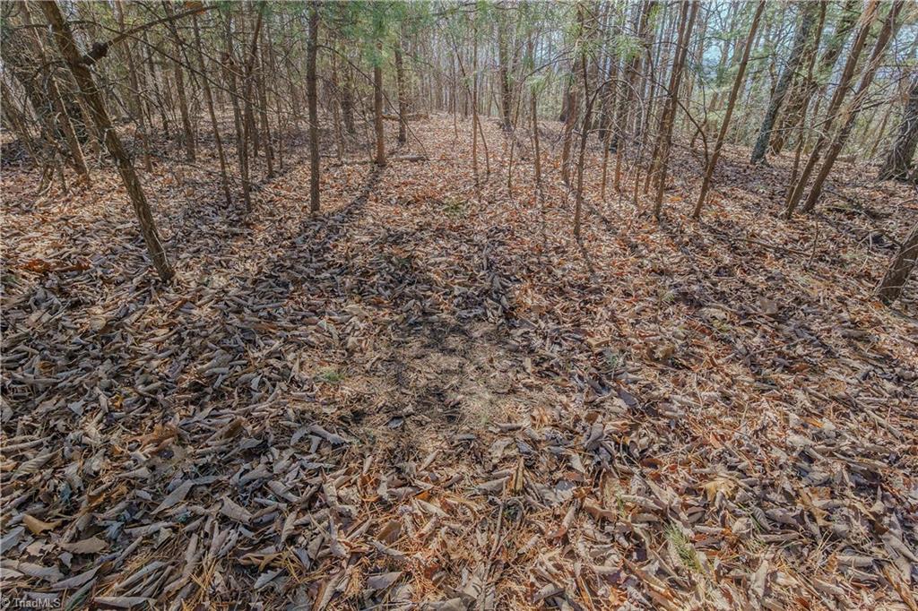 000 Willard Creek Property Photo 22
