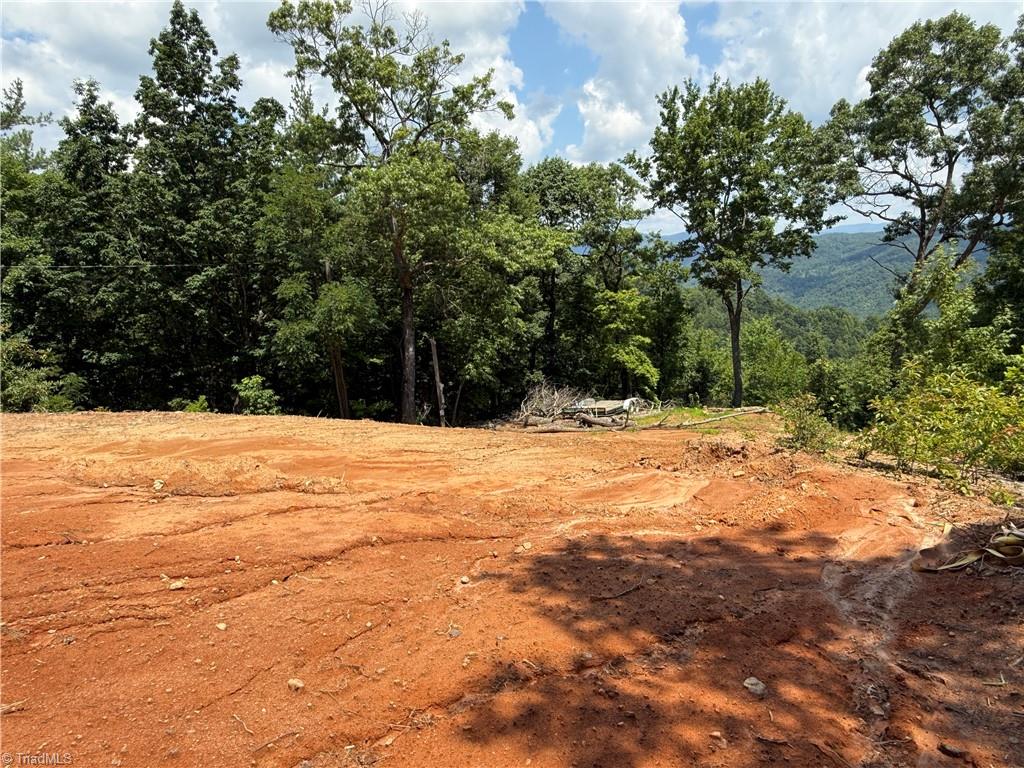 337 Lucas Path Drive Property Photo 14