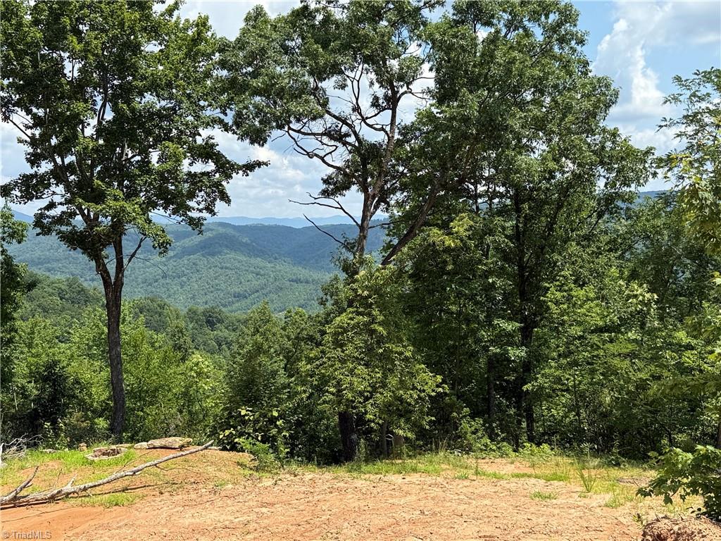 337 Lucas Path Drive Property Photo 16