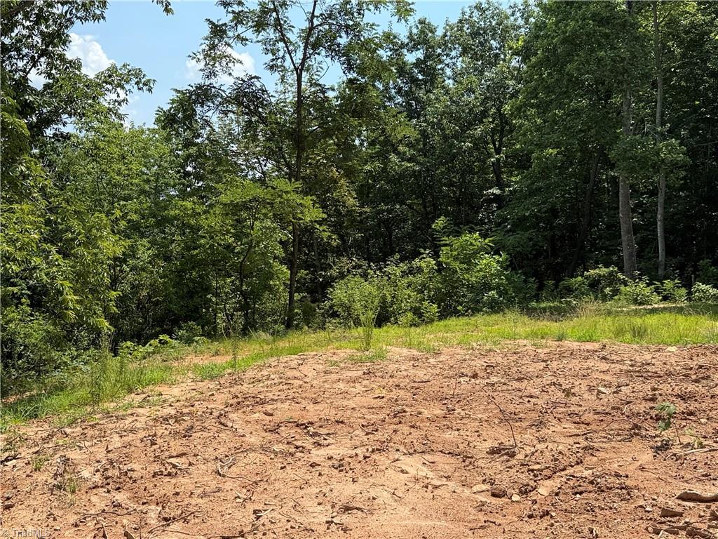337 Lucas Path Drive Property Photo 19