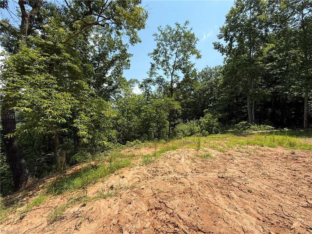 337 Lucas Path Drive Property Photo 20