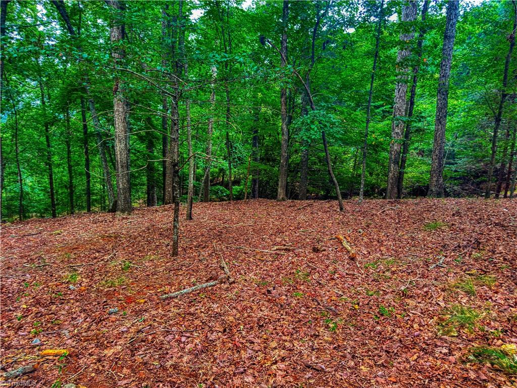 1996 Sierra Trace Road Property Photo 10