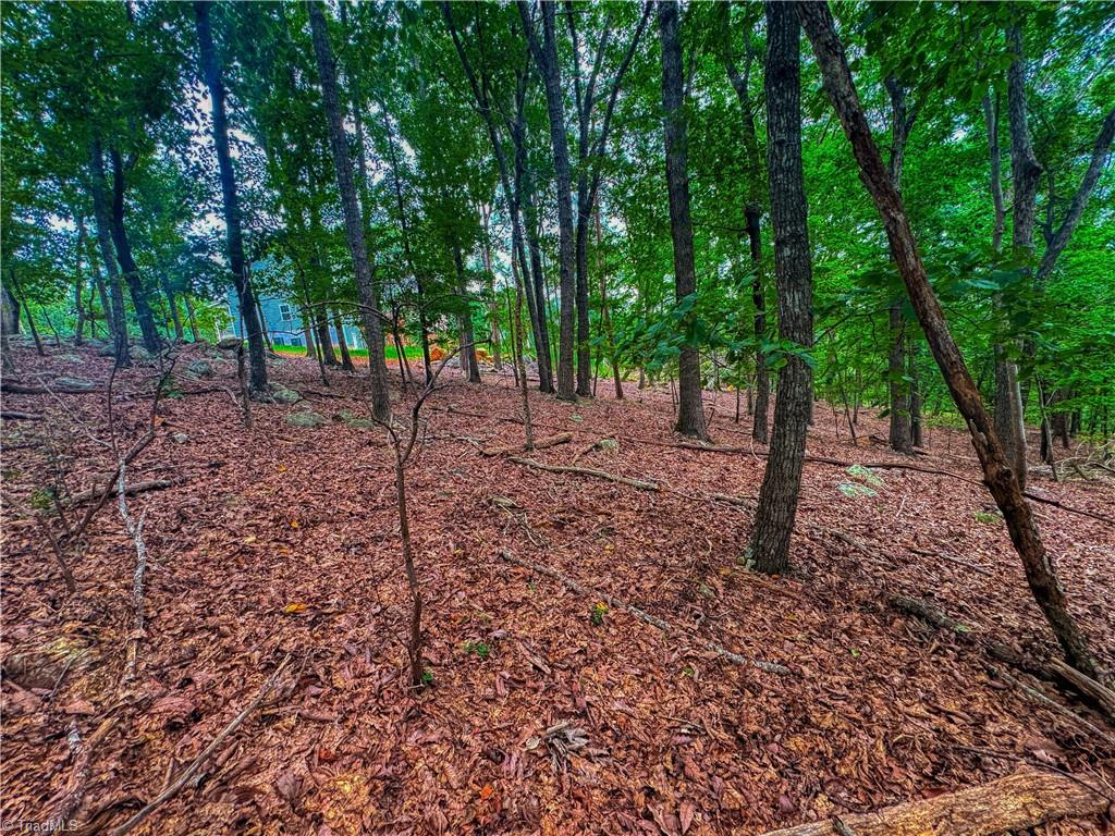 1996 Sierra Trace Road Property Photo 12