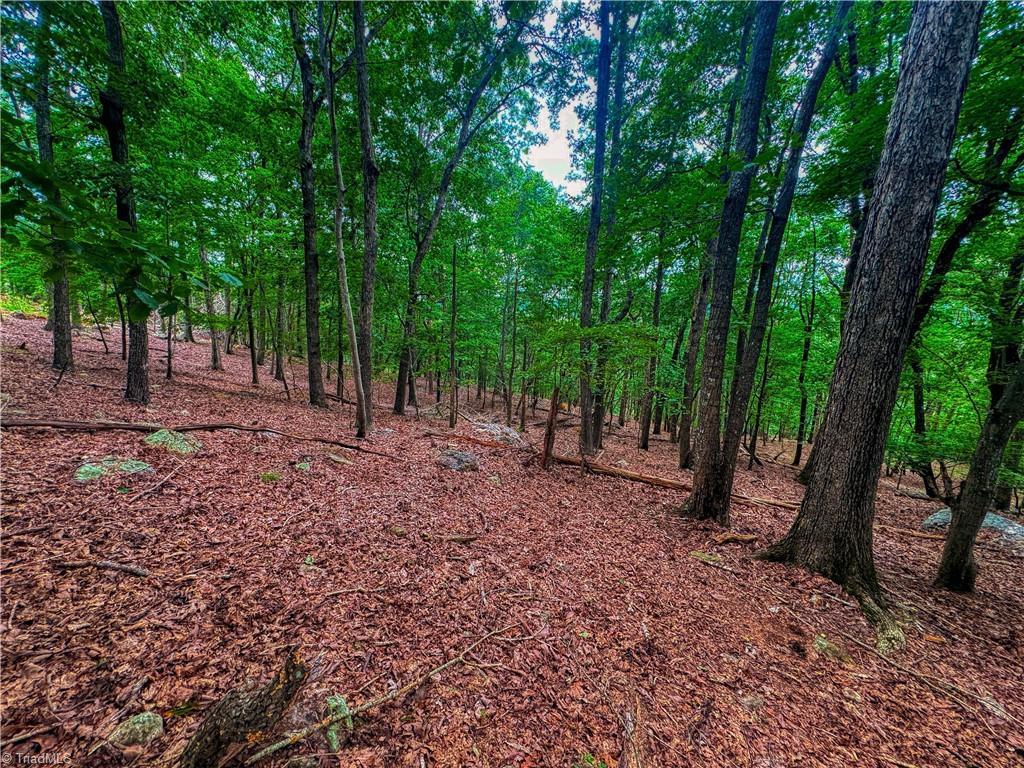 1996 Sierra Trace Road Property Photo 14