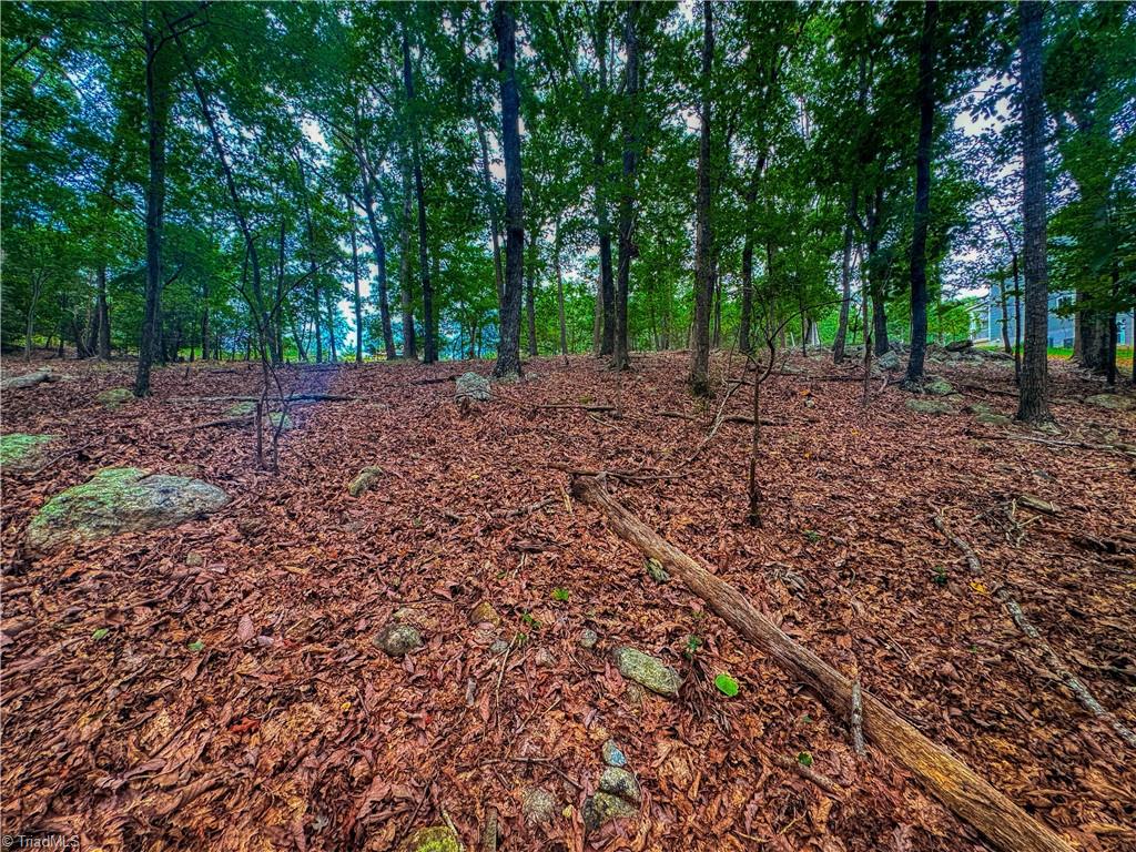 1996 Sierra Trace Road Property Photo 15