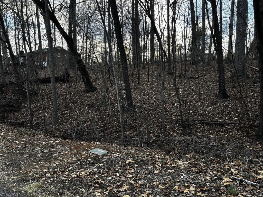 0 Regalwood Drive Property Photo 1